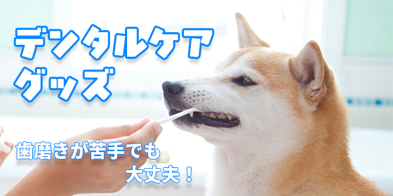 TOPバナー画像319