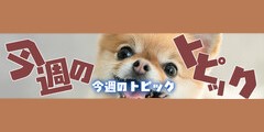 TOPフッターバナー画像320