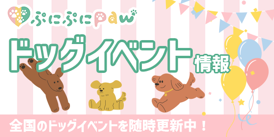 イベントバナー