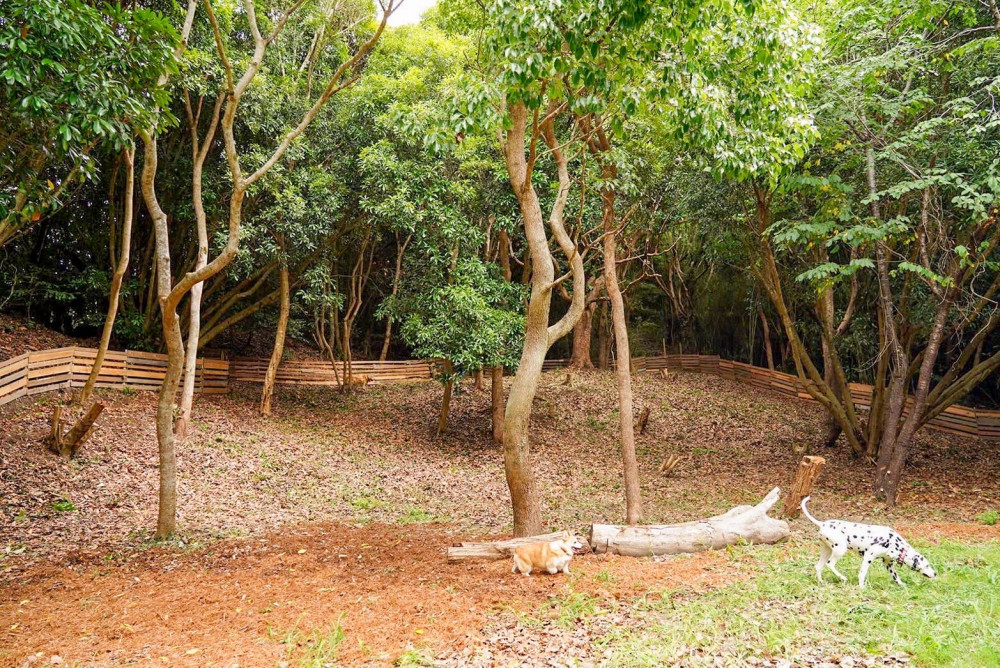 THE DOG DEPT GARDEN RESORT 館山犬石