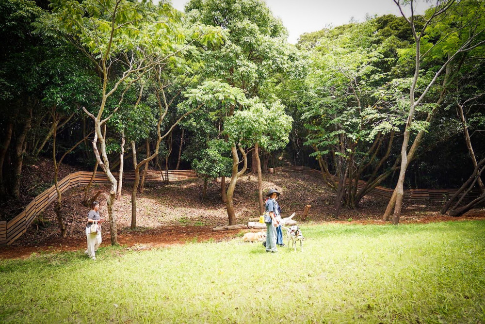 THE DOG DEPT GARDEN RESORT 館山犬石