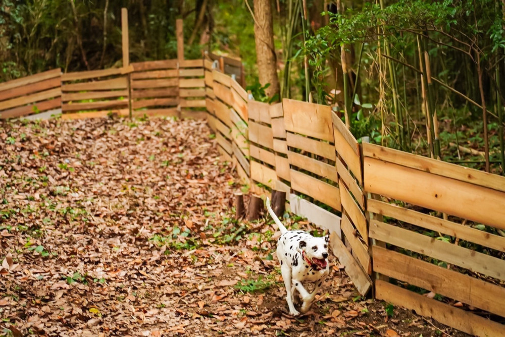 THE DOG DEPT GARDEN RESORT 館山犬石