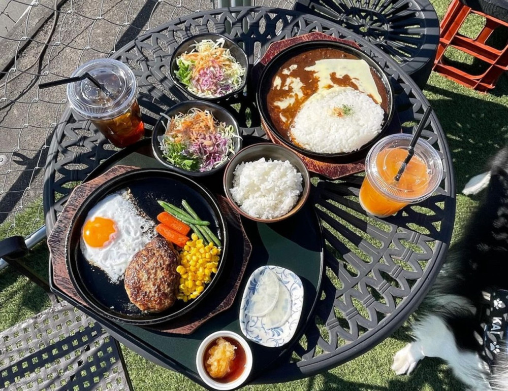 海の見えるドッグラン【風の時計】