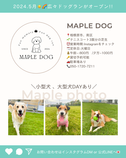 Maple Dog ドッグラン