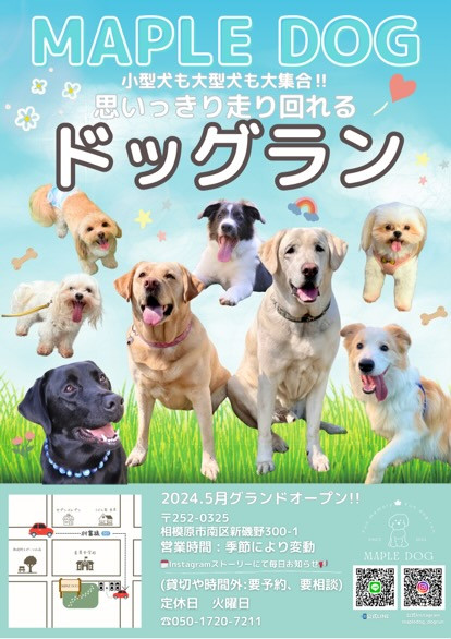 Maple Dog ドッグラン