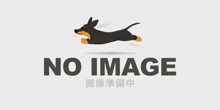 湘南ドッグパーク