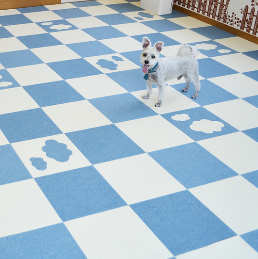 DogCafeマッシュルーム
