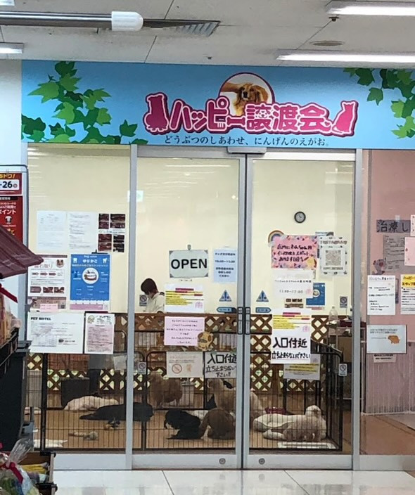 ハッピー譲渡会