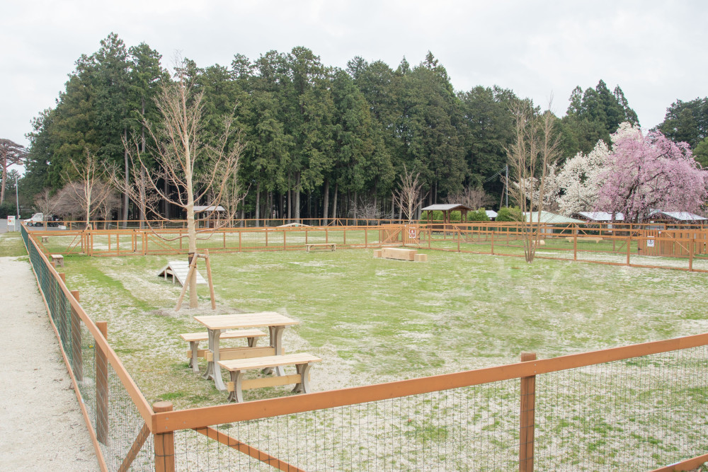 那須千本松牧場