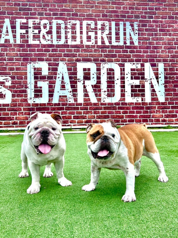cafe&dogrun B's GARDEN