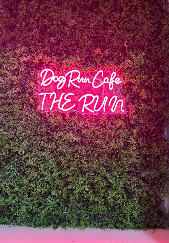 ドッグランカフェTHE RUN