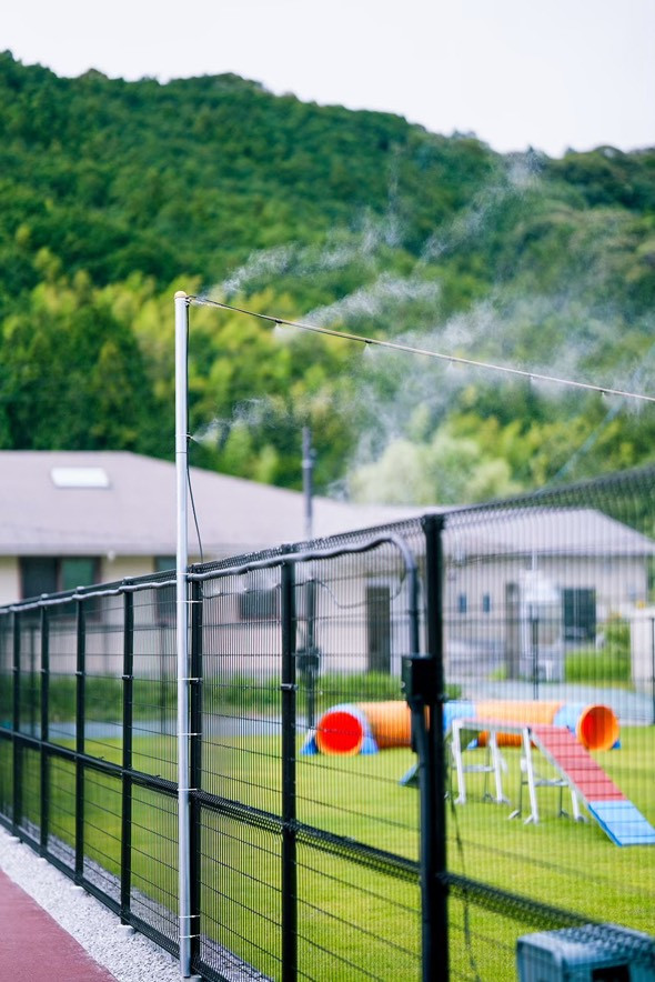 Tinee Dog Park