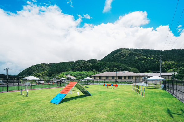 Tinee Dog Park