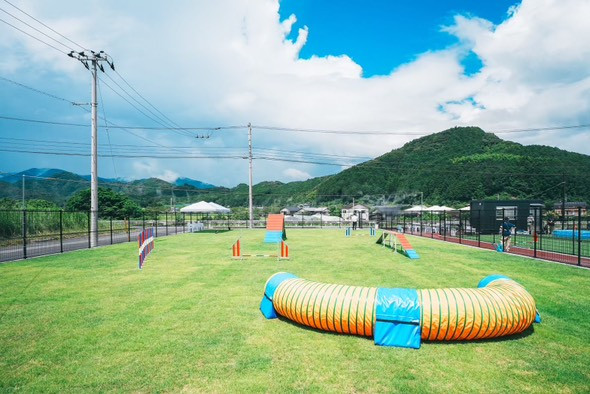 Tinee Dog Park