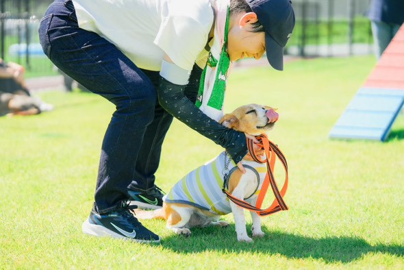 Tinee Dog Park