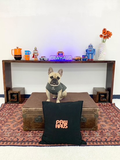 Indoor dogpark PAWHAUS(パウハウス)