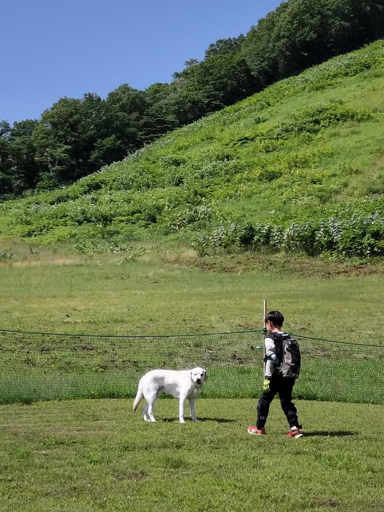 ニセコアンヌプリ国際スキー場ドックラン