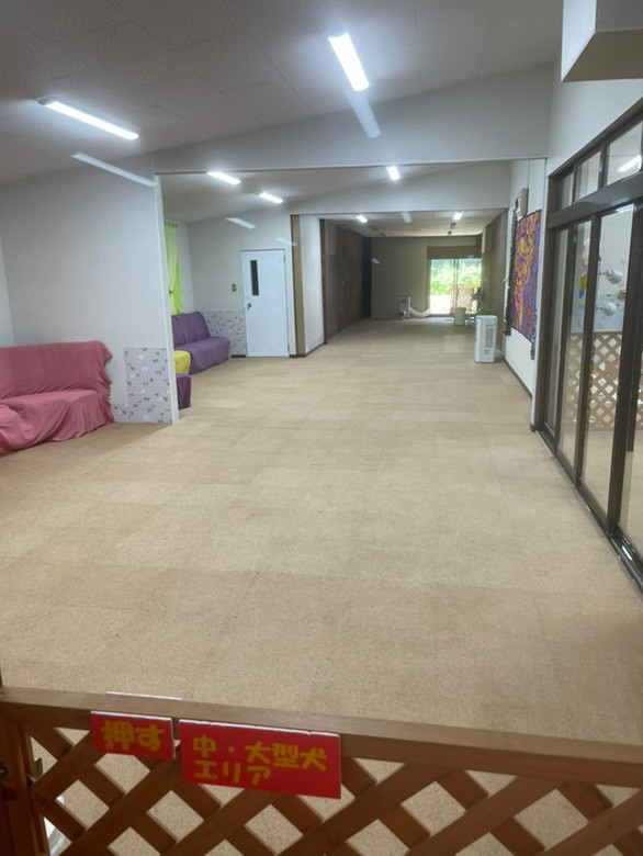 DOGSPACE SMILEHOUSE