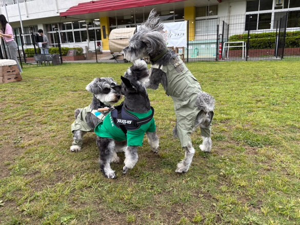 マメノキドッグパーク