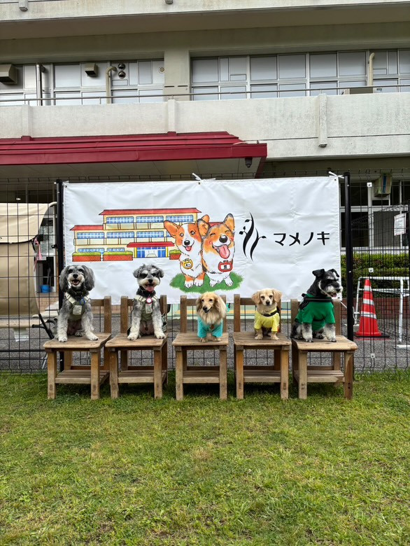 マメノキドッグパーク