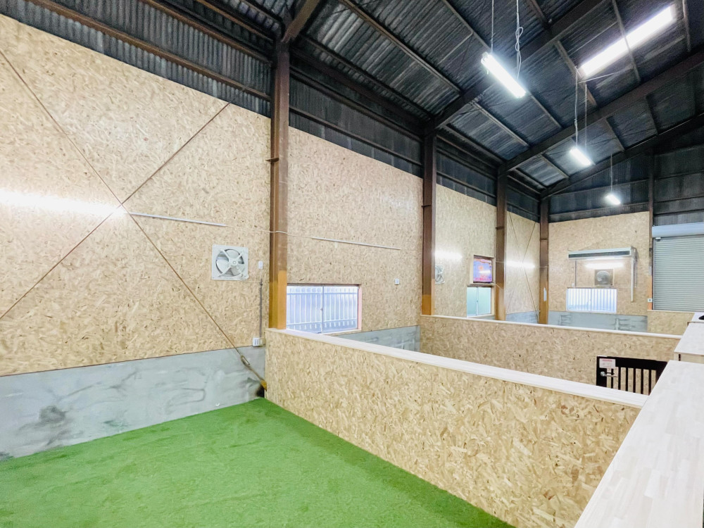 DREAM DOG RUND(ドリーム ドッグ ランド)