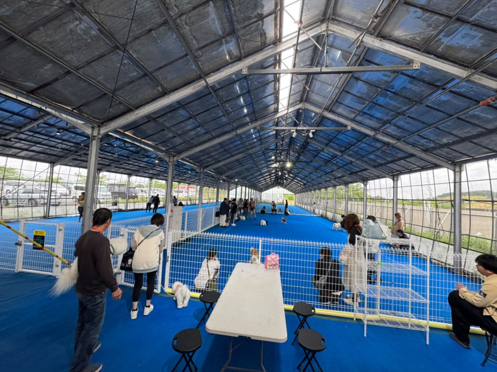HOWL SUZUKA INDOOR DOGPARK