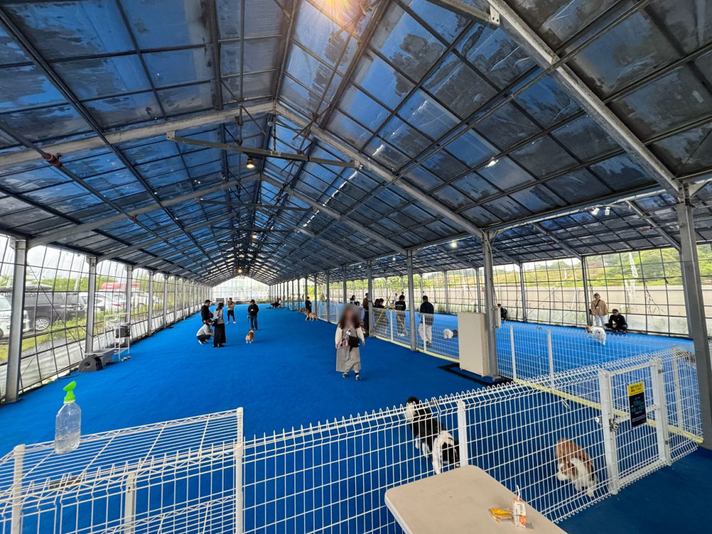 HOWL SUZUKA INDOOR DOGPARK