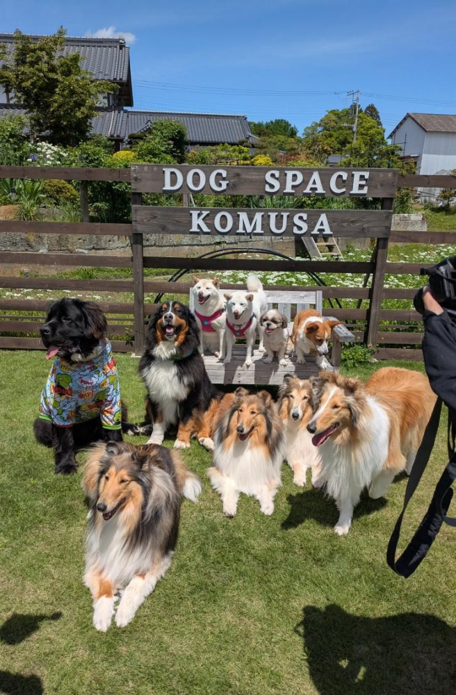 Dog space komusa（ドッグスペースコムサ）