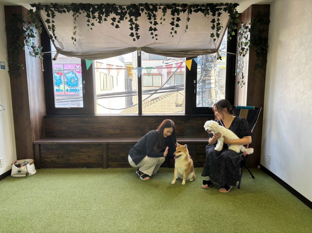 Doggy’s Camp