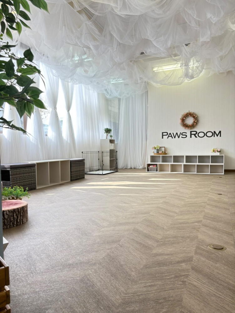 Paws Room （ぱうずるーむ）