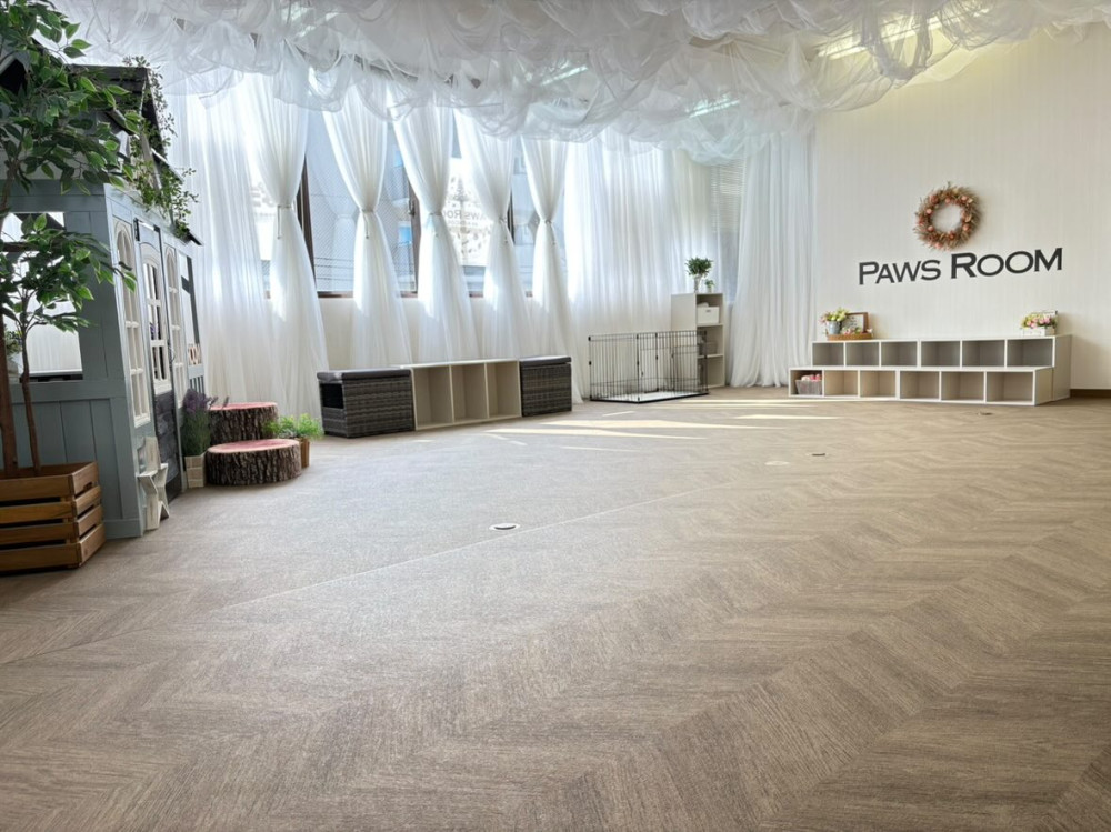 Paws Room （ぱうずるーむ）