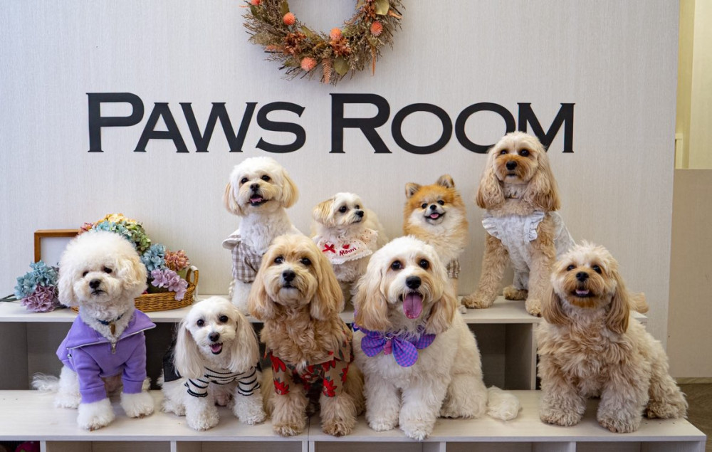 Paws Room （ぱうずるーむ）