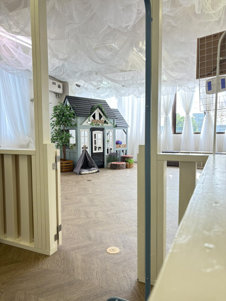 Paws Room （ぱうずるーむ）