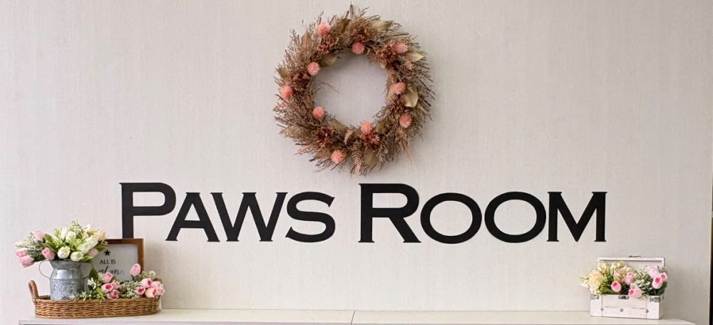 Paws Room （ぱうずるーむ）