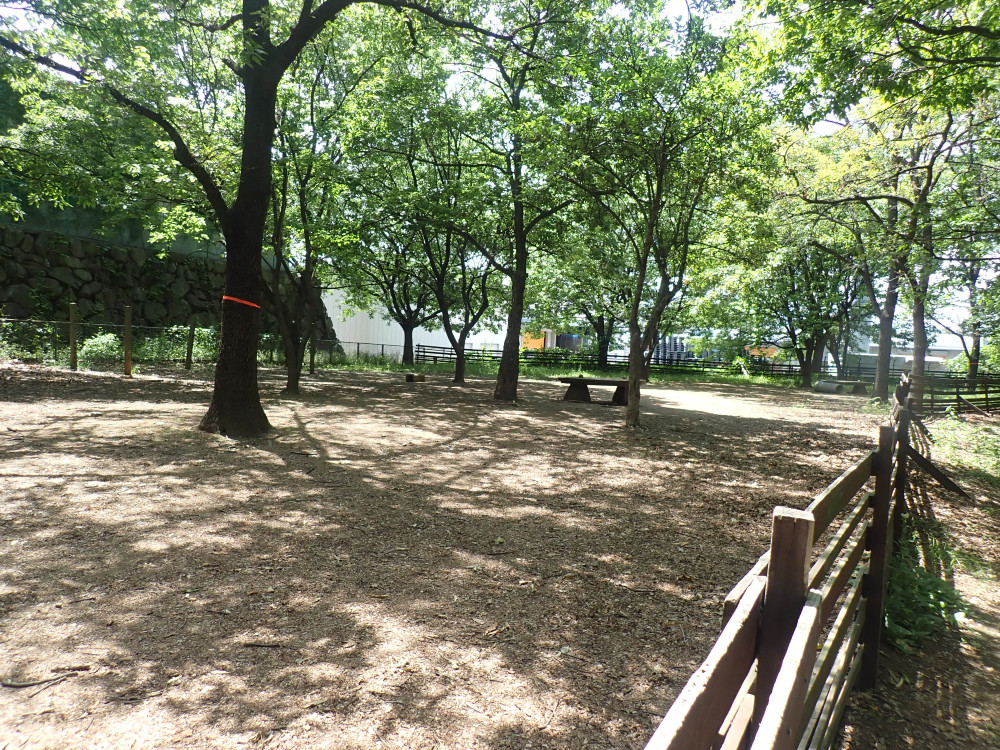 山梨県森林公園 金川の森