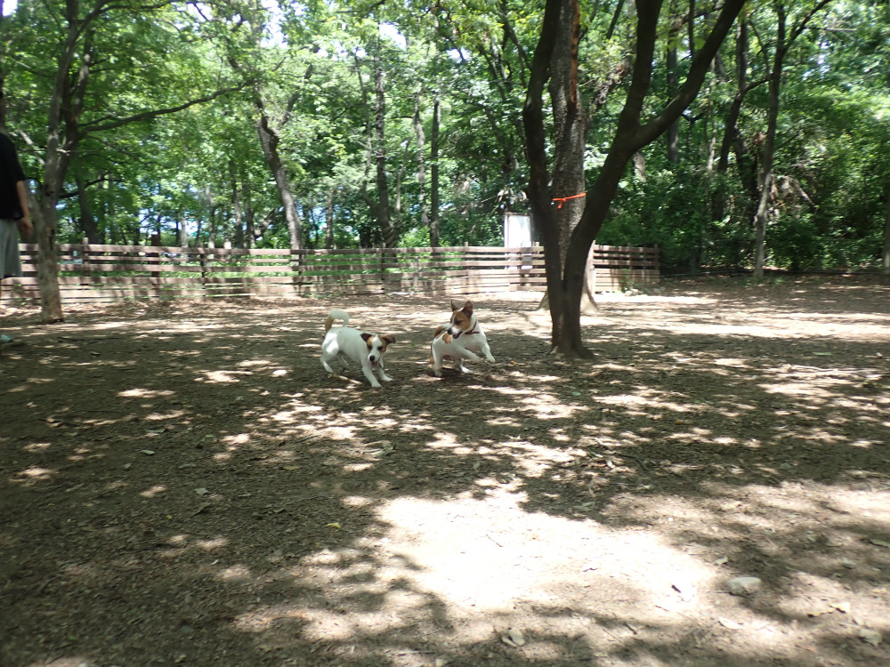 山梨県森林公園 金川の森