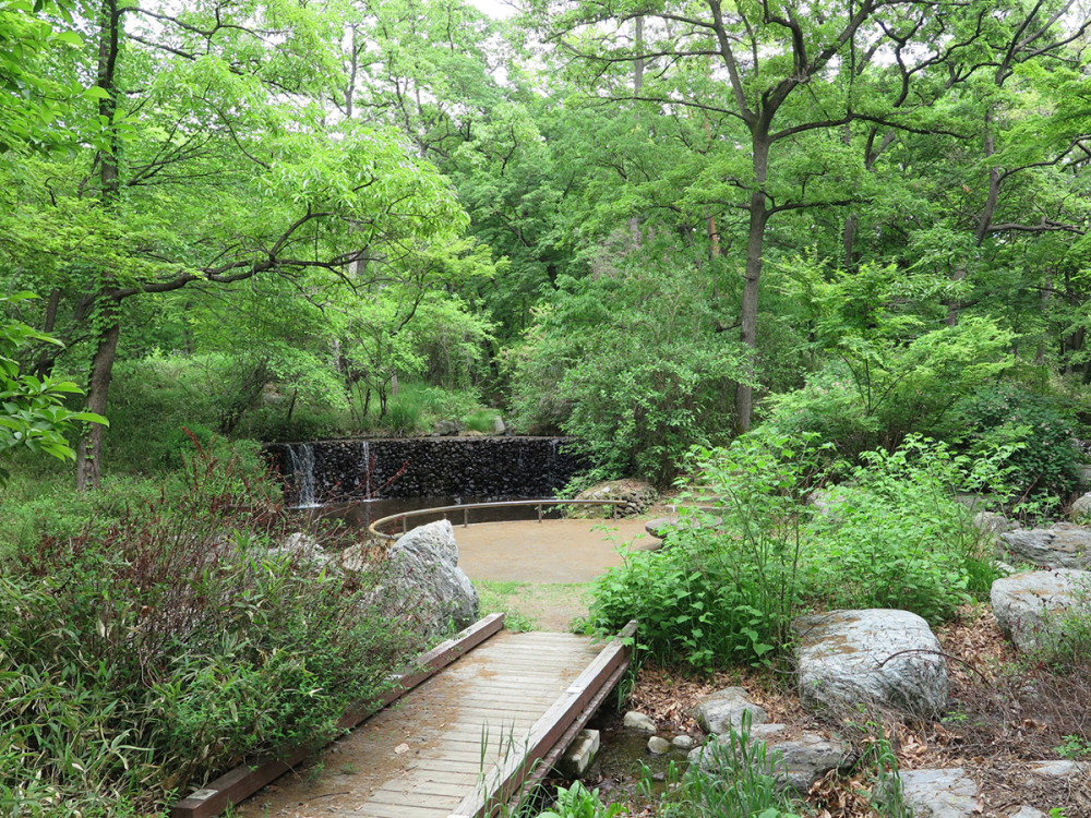 山梨県森林公園 金川の森
