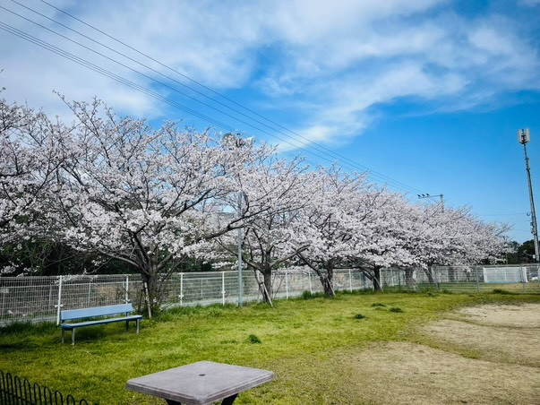 グリーンハート筑紫野