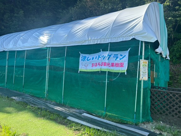 まほろば観光果樹園　かじゅカフェ