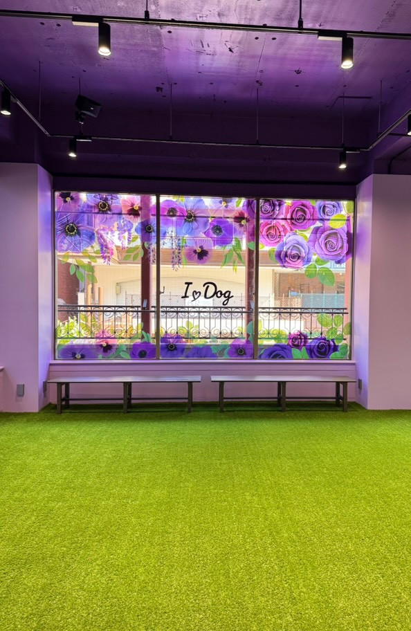 I.Dog神戸店