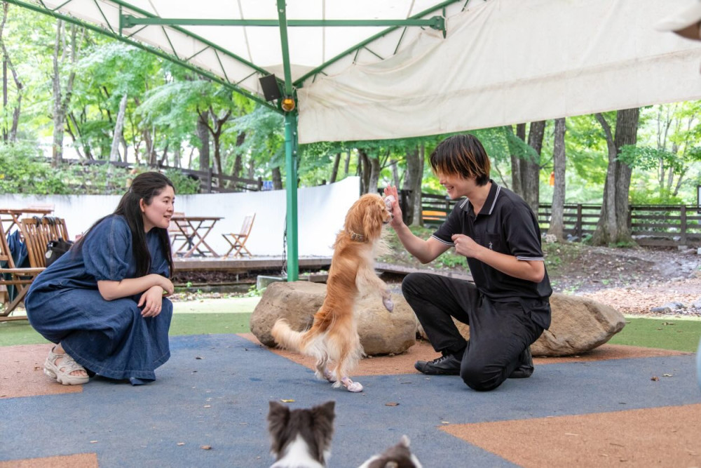 with Dogs ドッグパーク那須