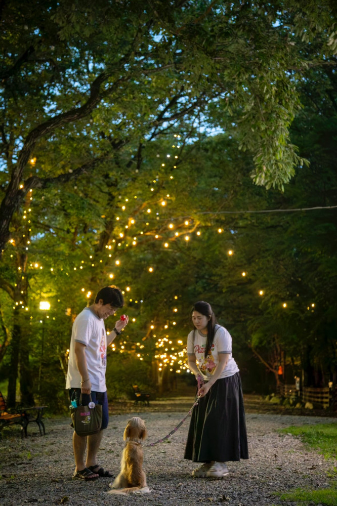 with Dogs ドッグパーク那須