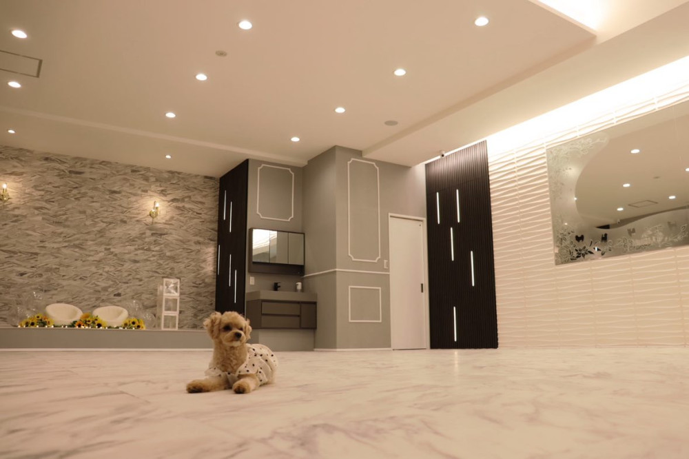Luxe Dog Lounge