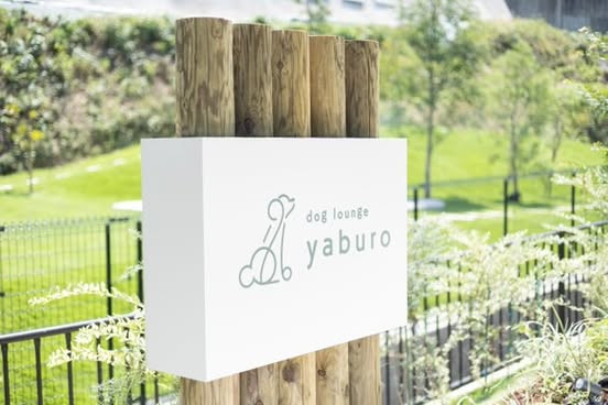 dog lounge yaburo(ドッグラウンジ ヤブロ)