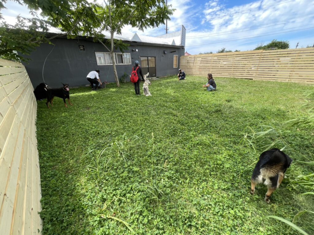 石狩ドッグランDANRUN