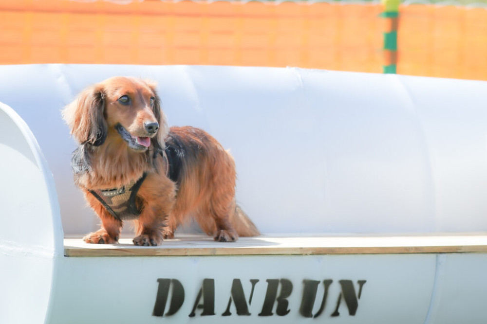 石狩ドッグランDANRUN