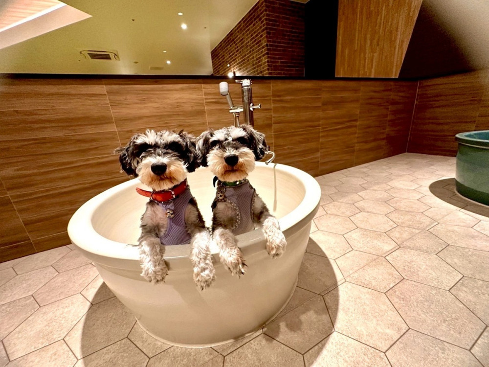 アパホテル〈高松空港〉