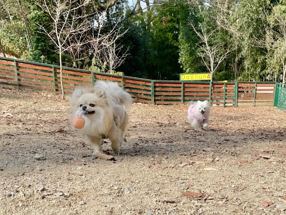 稲荷山ペットパーク