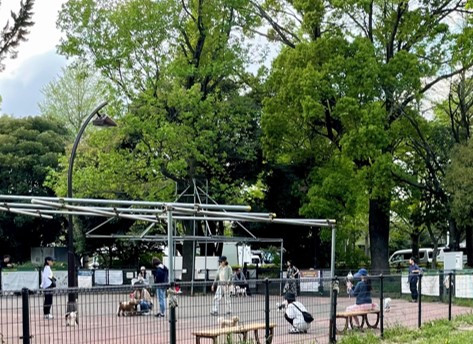 駒沢オリンピック公園ドッグラン