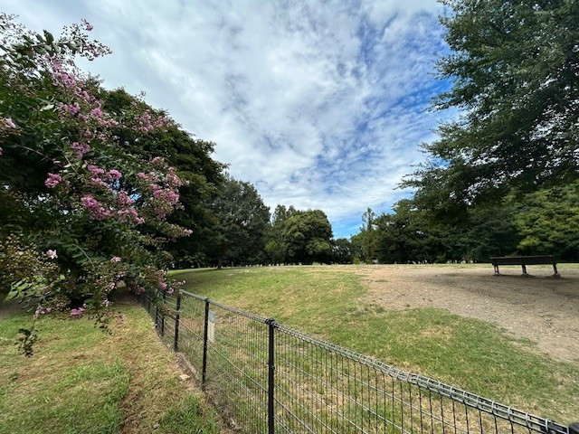 水元公園ドッグラン